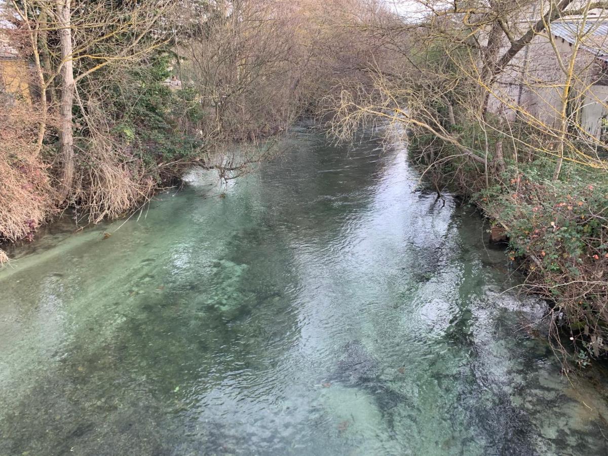 Clos Du Cardinal Avec Piscine L'Isle-sur-la-Sorgue Bagian luar foto